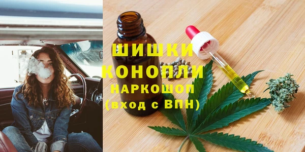 ПСИЛОЦИБИНОВЫЕ ГРИБЫ Белокуриха