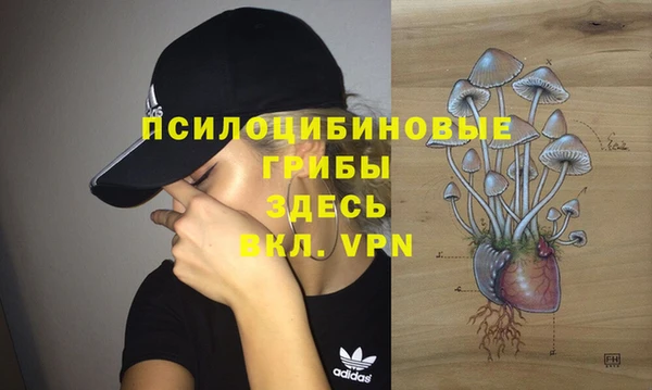 ПСИЛОЦИБИНОВЫЕ ГРИБЫ Белокуриха